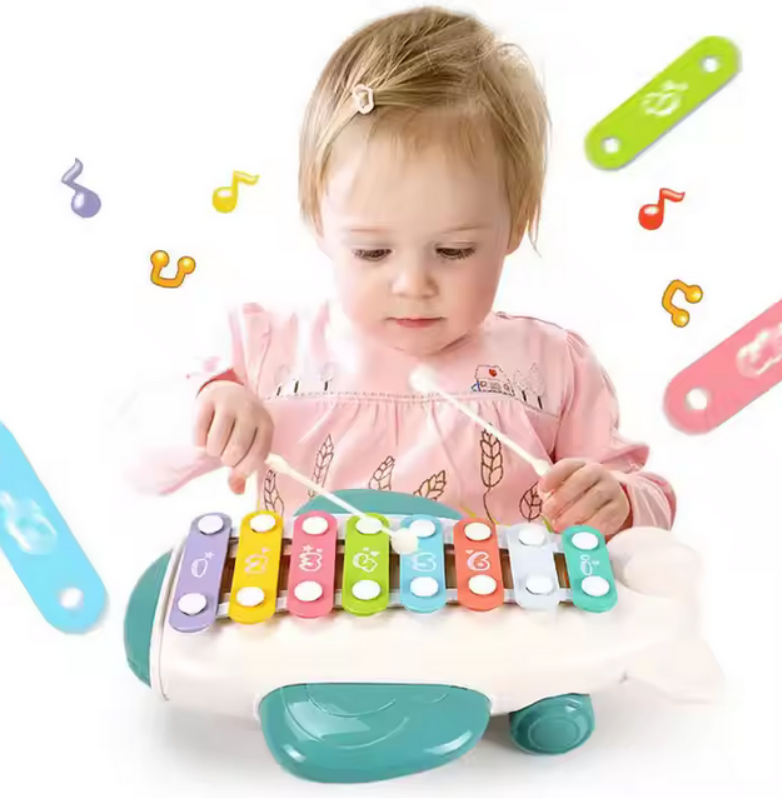 Kinder Xylophon Spielzeug - Flugzeug